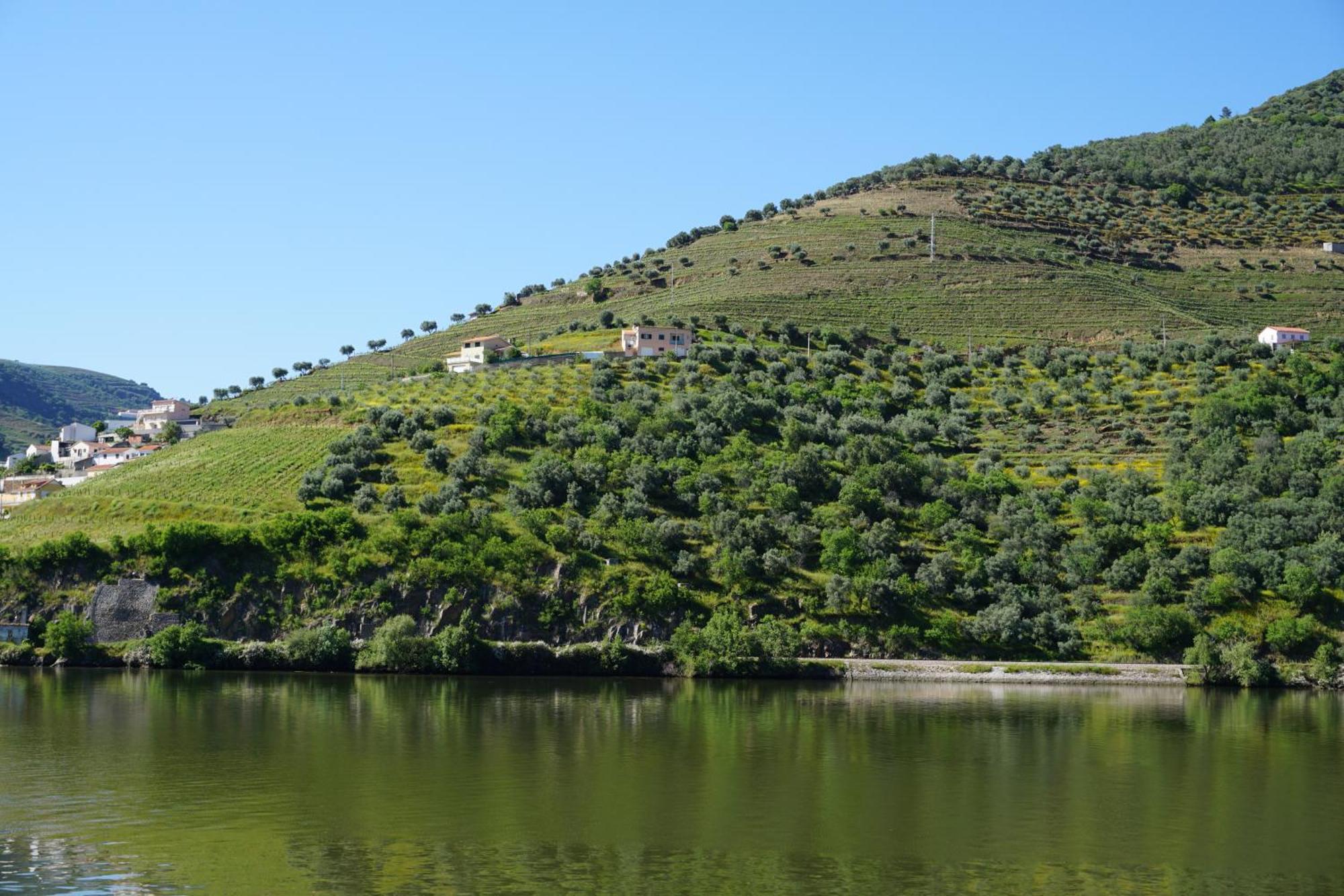 Holiday home Vivenda Portela *