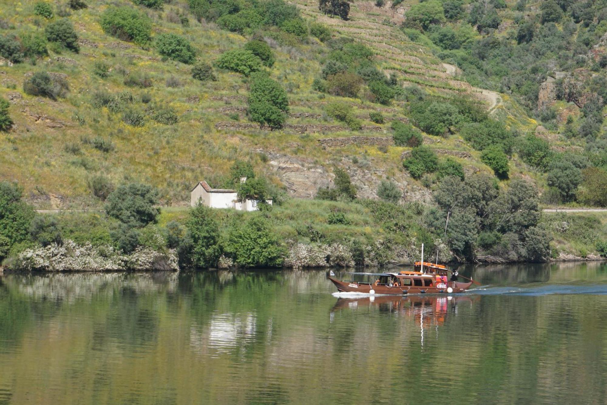 Vivenda Portela Holiday home *